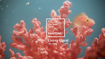 Pantone 2019 Scelta Divano