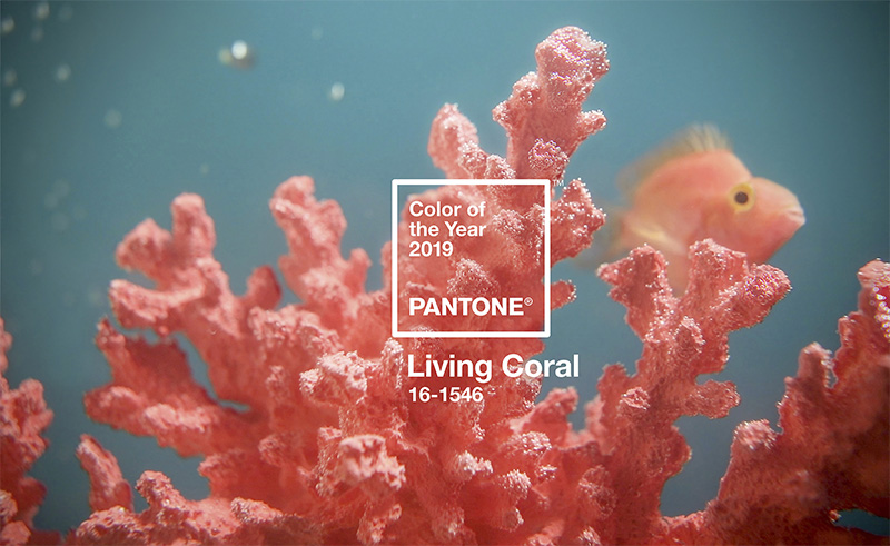 Pantone 2019 Scelta Divano